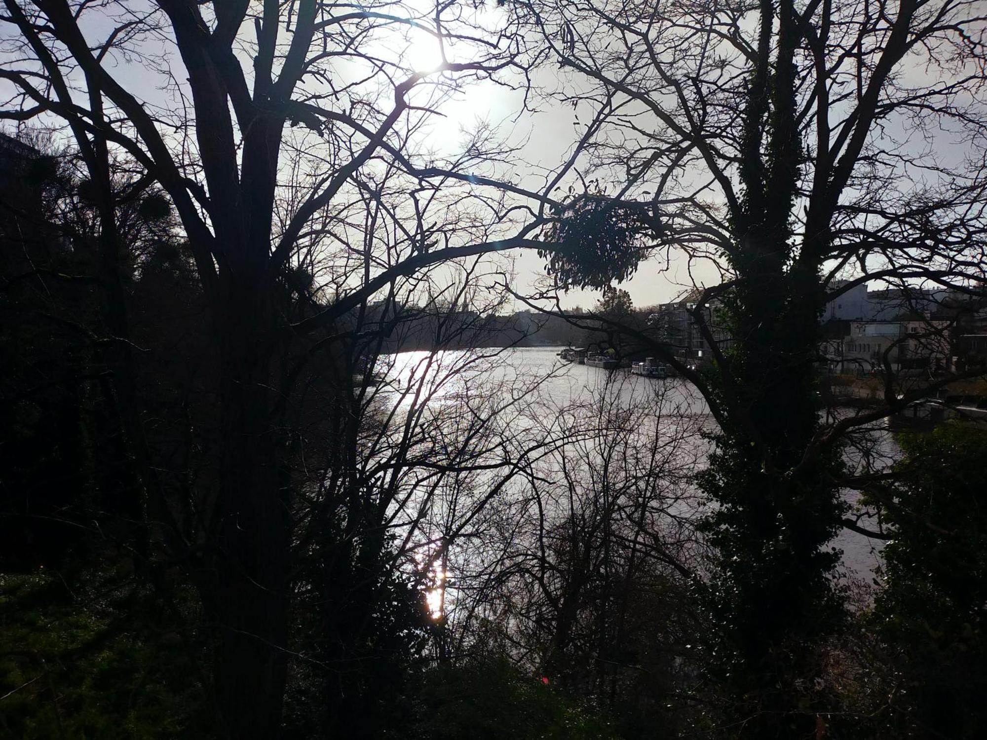 L'Arbre Aux Herons - Panoramique Nantes Wifi מראה חיצוני תמונה